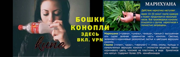 ГАЛЛЮЦИНОГЕННЫЕ ГРИБЫ Краснослободск