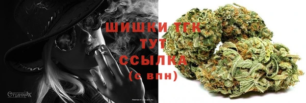 ГАЛЛЮЦИНОГЕННЫЕ ГРИБЫ Краснослободск