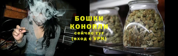 ГАЛЛЮЦИНОГЕННЫЕ ГРИБЫ Краснослободск