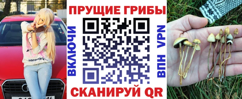 Псилоцибиновые грибы Psilocybine cubensis  Павловская 